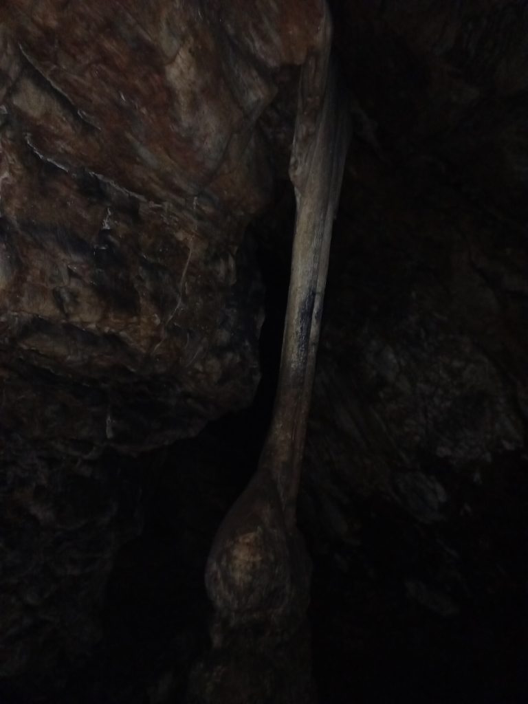 coloana peștera Românești