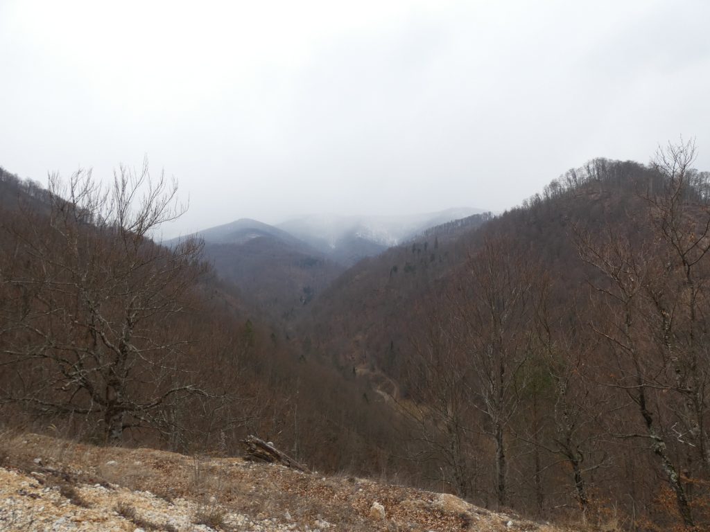 Transluncani, vedere spre creasta principală a munților Poiana Ruscă