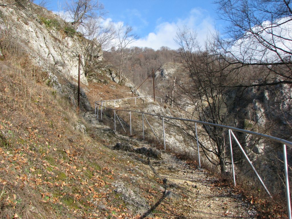 Traseul amenajat spre Peștera Liliecilor, Cheile Bistriței, VL