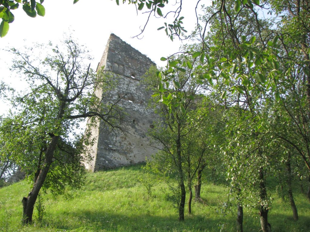Cetatea Rupea iulie 2009