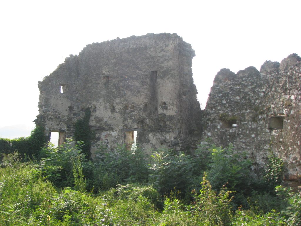 Cetatea Rupea iulie 2009