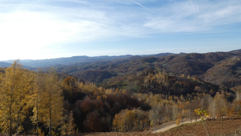 Drumul Regelui între Obârșia și Cota 0