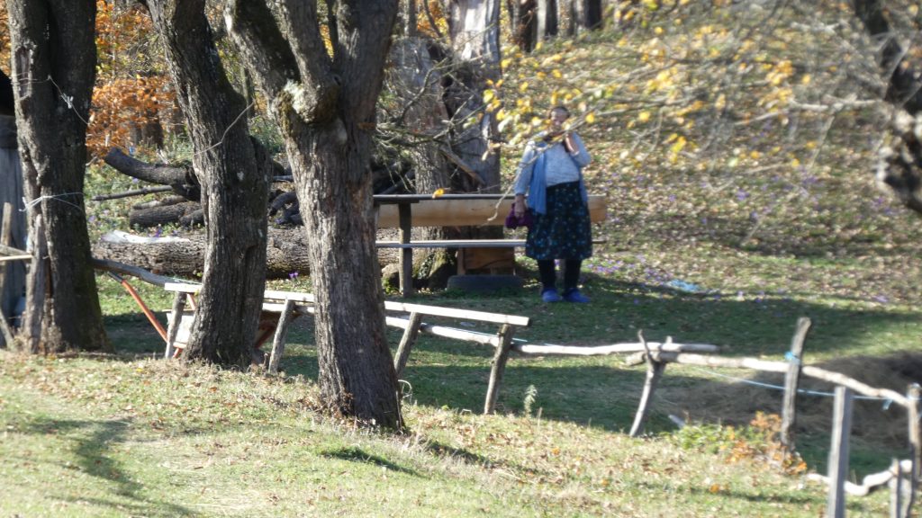 Gospodărie la Cota 0, Drumul Regelui