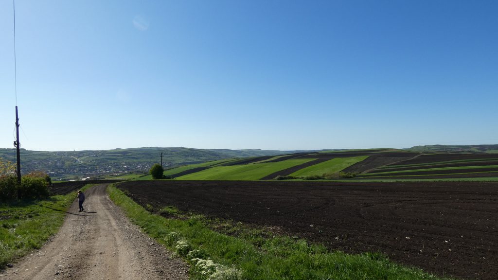 Spre Zau de Campie